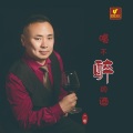 一臣 - 喝不醉的酒DJ舞曲