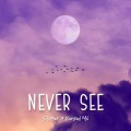 Konrad Mil、Skyper - Never See