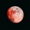 Nazda - Red Moonlight