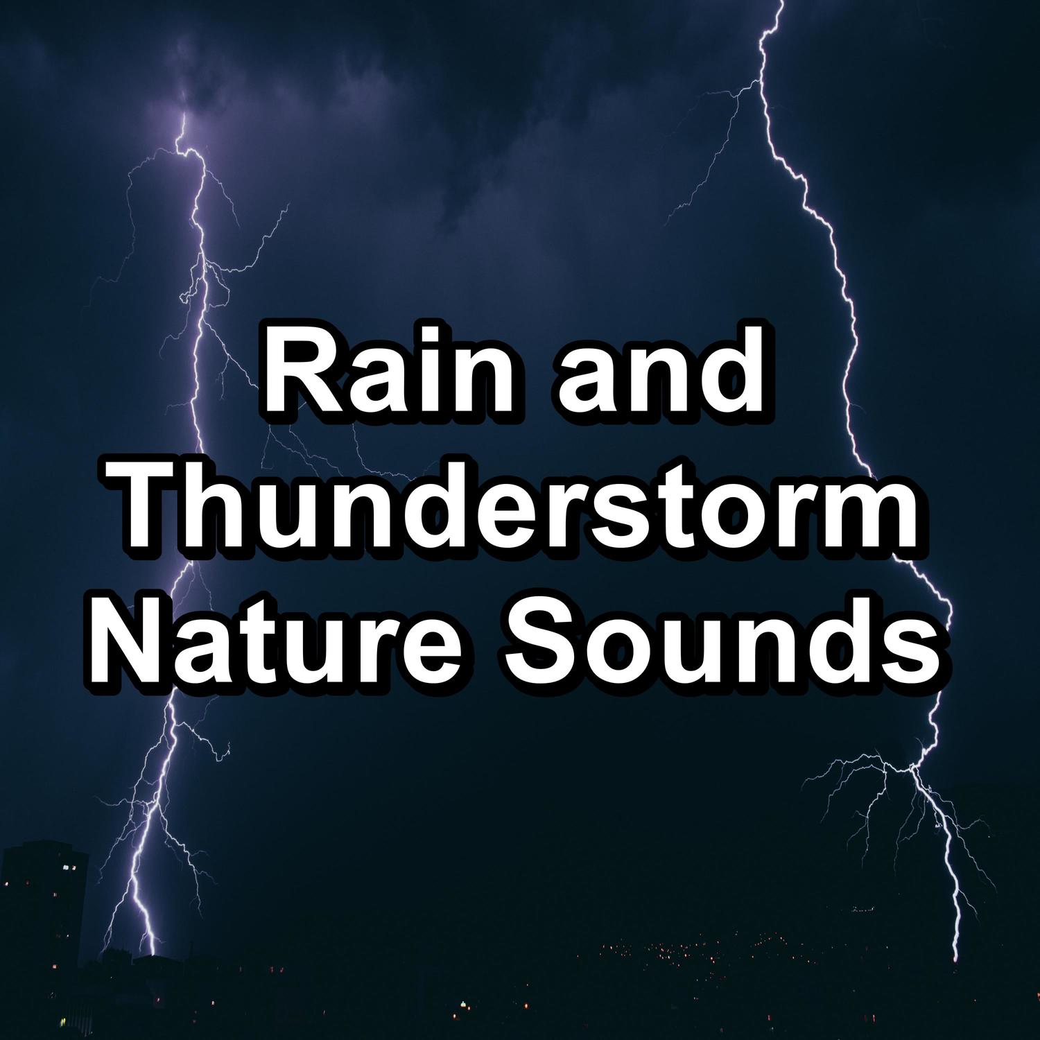 Nature Tribe、Nature、Soothing Nature Sounds - White Noise Rain For Quiet Nights To Relax and Loop for 8 Hours