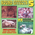 SFX Connection - Cats & Kittens