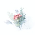 何汐 - 大雨