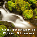 Binaural Shapers、Binaural Beats Sleep Aid、Spa Atmospheres - Natural Harbour Sound