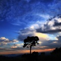 Dastic、Hot Shade、MarcoRyann - Sky High