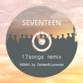 DaNew、阿紫酱 - SEVENTEEN - SEVENTEEN 17 Songs Remix