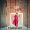 White Noise Research - Rumination