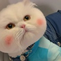 南南 - 第一次见到你的时候