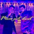 Prakhar Bhushan、Mr. Red - Maine peeli sharab (feat. Prakhar Bhushan)