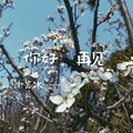 你好，再见