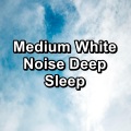 Nature and Rain、Meditation Rain Sounds、Relaxing Rain Sounds - Purple Noise Instrumental Music To Loop for 24 Hours
