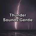 Baby Rain、Sleepy Rain、Rain Sounds for Sleep - Gentle Rain for Brain Relaxation and Mindfulness Pure Sounds to Help Insomnia