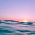 Leclerc - Lazywave