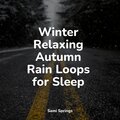 Winter Relaxing Autumn Rain Loops for Sleep