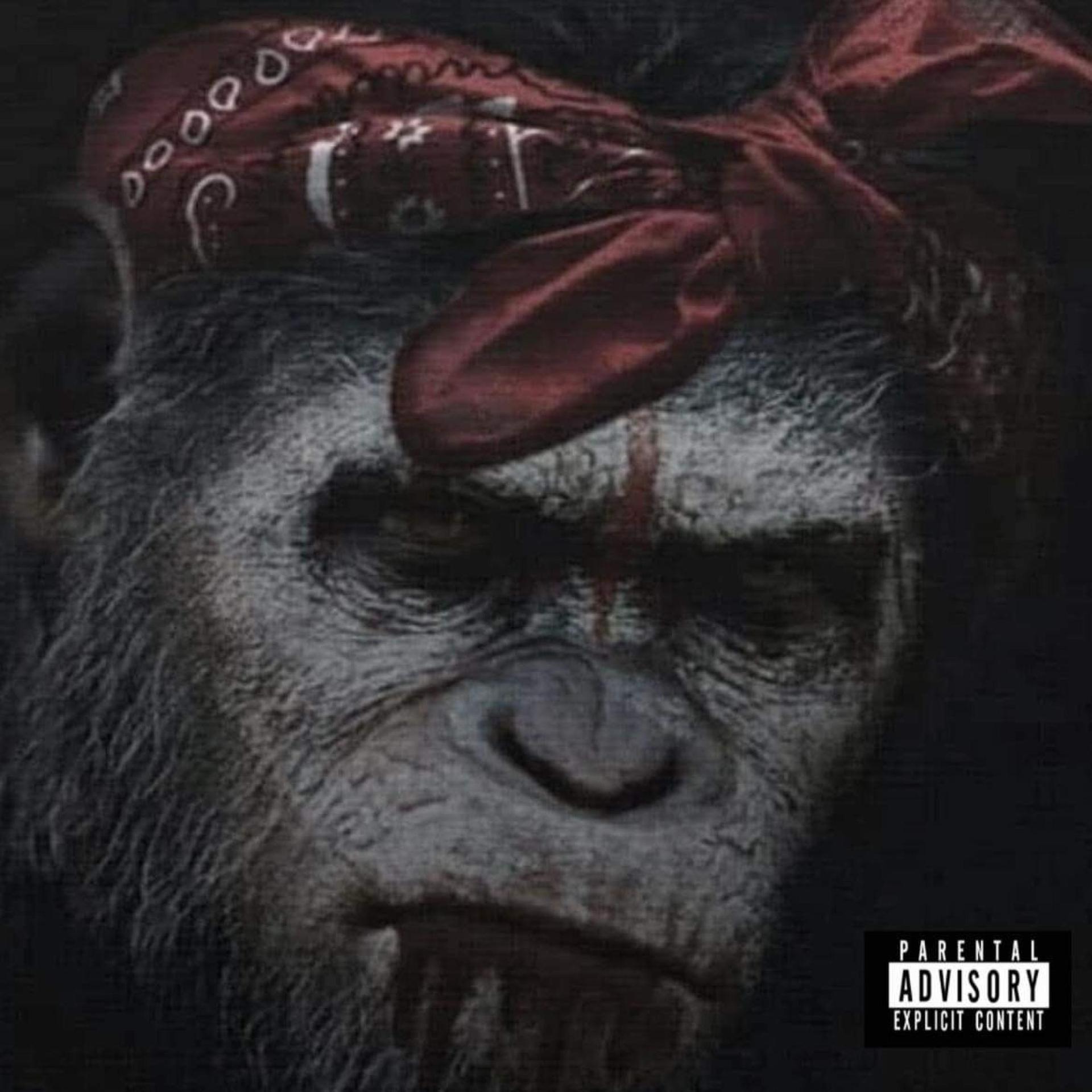 RyllaDo3 - Bloodii