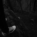 Daruler215、Bri - Courtside (Explicit)