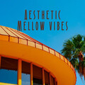 Aesthetic Mellow Vibes