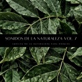 Naturaleza FX、Ruido Del Sueno、Reiki Armonía - Sonidos De La Naturaleza Para Dormir Pt. 8