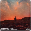 Salvo、32Stitches - Somebody That I Used To Know