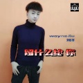 刘洋 - 留什么给你
