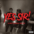 Lil Mikey、Tony D、Anh Nguyen、pino - YES SIR (feat. Anh Nguyen Tony D. & Pino)(Explicit)