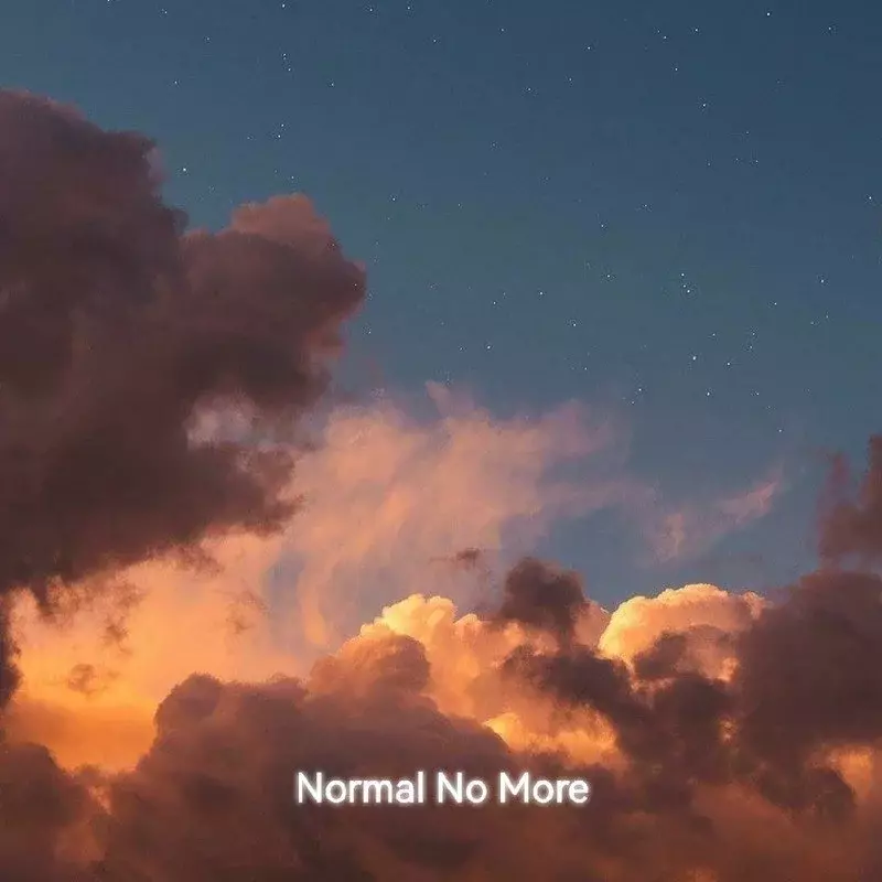 Normal No More (小提琴版)