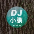 DJ小鹏 - 农安 (Remix)