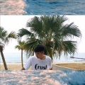 杨江林 - 十七