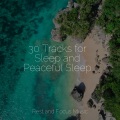 Ambient Forest、Deep Sleep Relaxation、Powerthoughts Meditation Club - Soothing Sounds