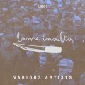 Juan Iglesias、Lowes - Panthoneic Acid