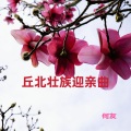 何友 - 云南文山丘北壮族结婚唢呐迎亲曲 (唢呐2)