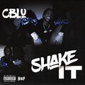 Shake It (Explicit)