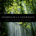Masaje Relajante Masters、Masajes Spas、Dormir Profundamente - Música De Naturaleza