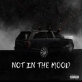 Nesty Gzz - NOT  IN  THE  MOOD (Explicit)