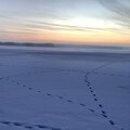 Wintergrau Insel (Klangkarawane)