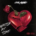 CHS.YUNNE、A.P - WASTING MY TIME (feat. a.p)(Explicit)