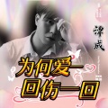 为何爱一回伤一回 (DJ沈念版)