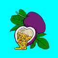 Passionfruit