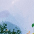 鱼妄淂 - 风过谢桃花