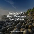 Meditation Music Club、Reiki Tribe、Relajación - Calm Whispers