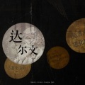 叶凌谦 - 达尔文
