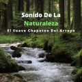 Sonido De La Naturaleza: El Suave Chapoteo Del Arroyo