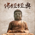 荔荔一朝 - 白度母心咒-诵唱男声