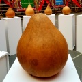 追梦者 WW - 后来