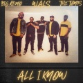 All I Know (feat. Big Remo & The HamilTones)(Explicit)