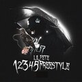12345 Freestyle