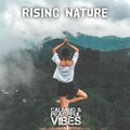 Calming、PEACEFUL VIBES - RISING NATURE (Yoga Music)