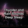 Nature Spirit、Sounds of Nature White Noise Sound Effects、Nature Recordings - Forest Rain For Quiet Nights To Relax and Loop for 8 Hours