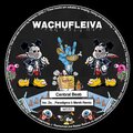 Central Beat - Wachufleiva 30-1