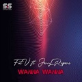 Wanna Wanna Feat. Jerry Ropero (Original Mix)