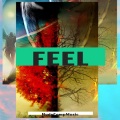 Hugecompmusic - Feel